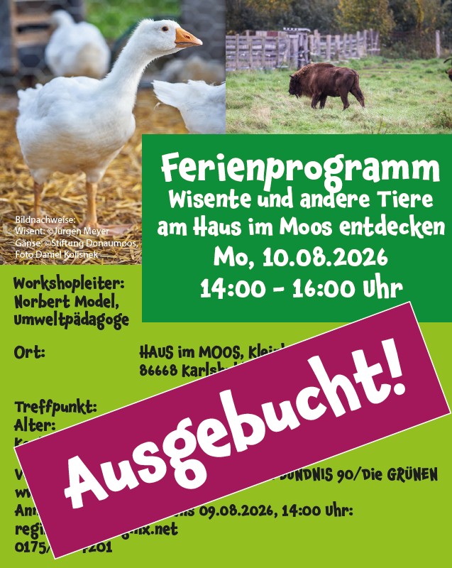 Ferienpassprogramm wieder ausgebucht